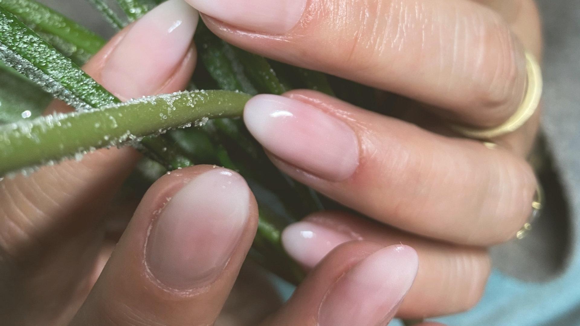 lange Fingernägel mit Aloe Vera Pflanze